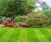 side lawn