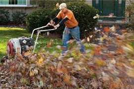 man removing leaves from yard