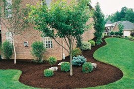 neatly made mulch beds