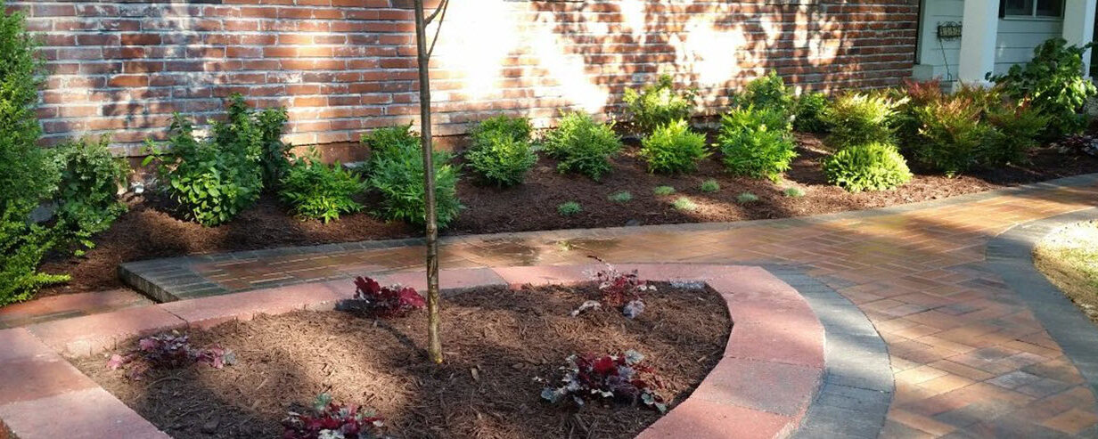 shrubbery plant box